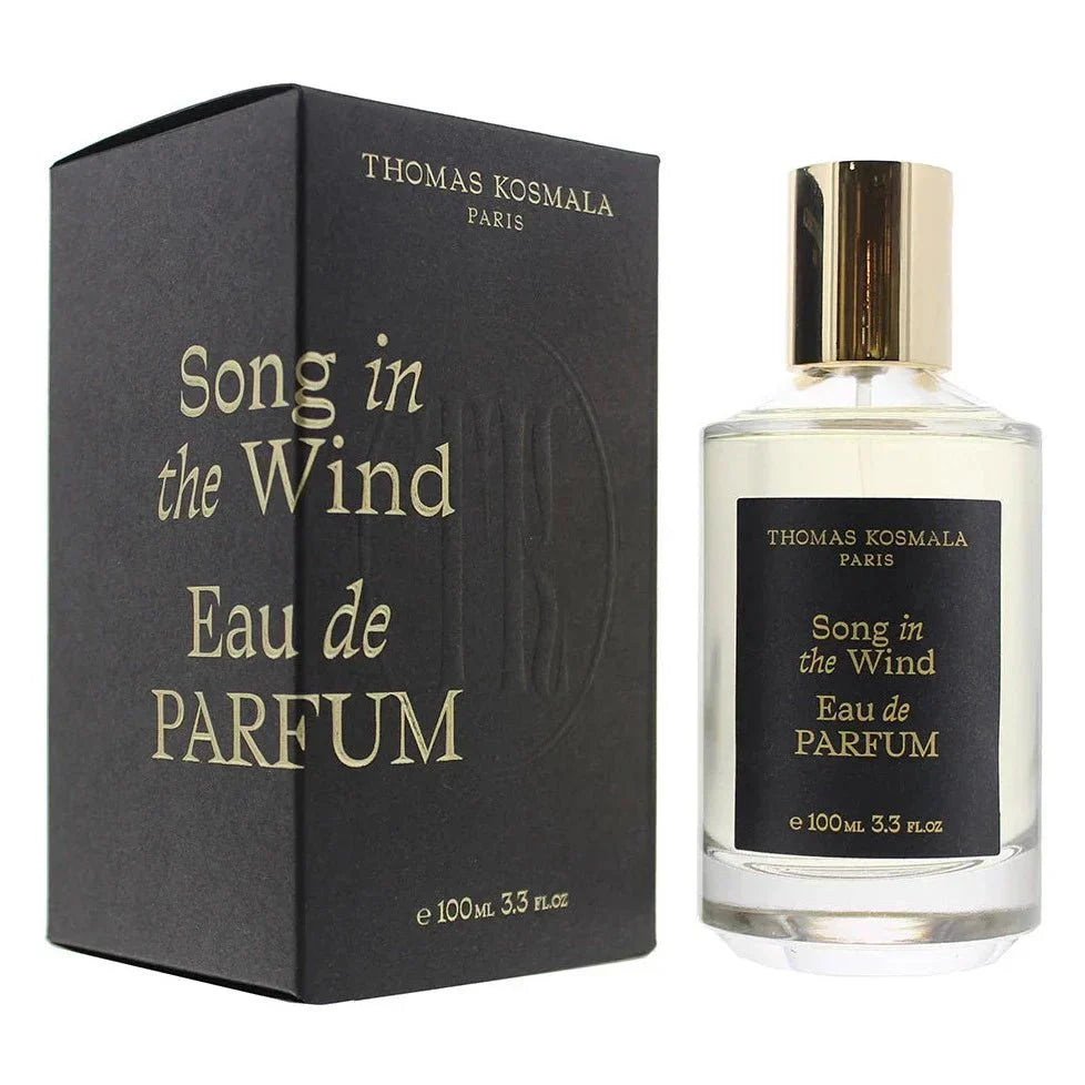 Thomas Kosmala Song In The Wind EDP