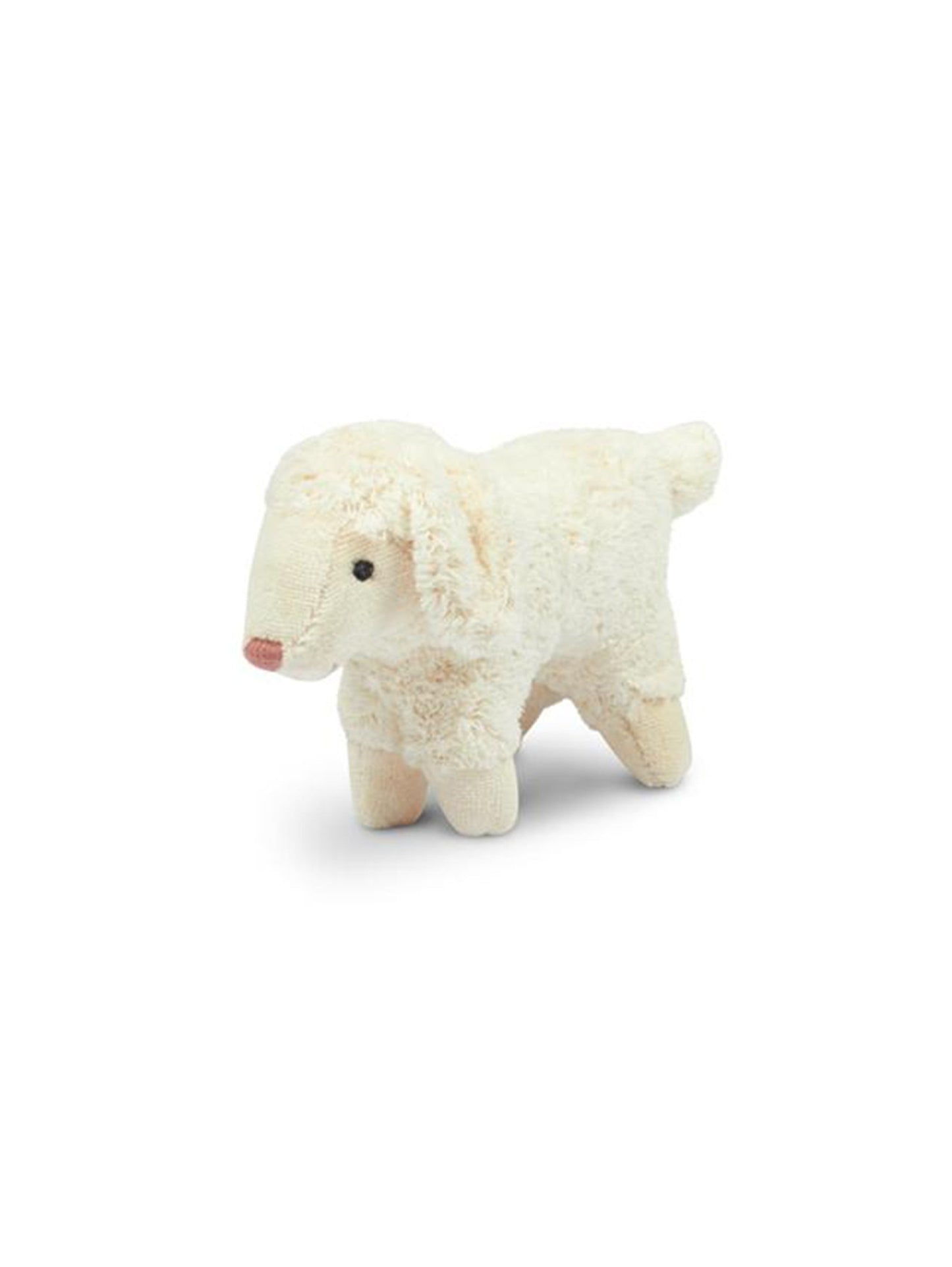 Senger Naturwelt Lamb