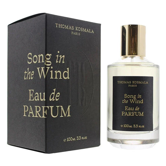 Thomas Kosmala Song In The Wind EDP